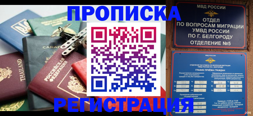 временная регистрация недорого в Камешково